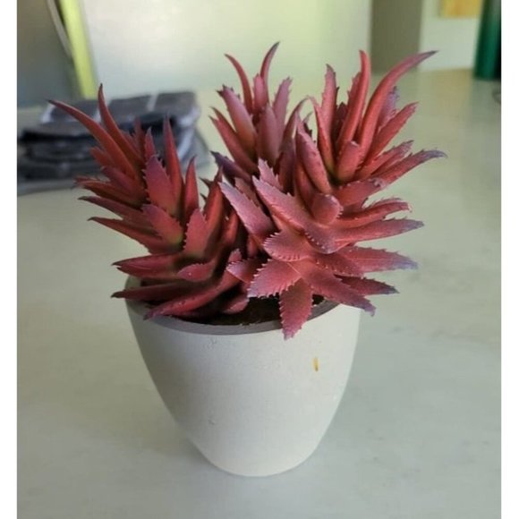 New Artificial Plants, 3 Pack Realistic Faux Succulents in Pots with Flower - Picture 3 of 4